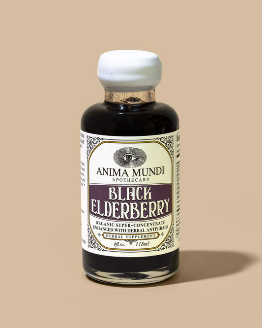 Black Elderberry Elixir (antiviral + adaptogen)